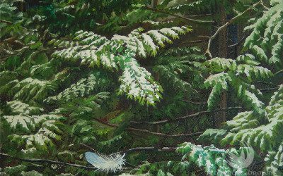 Snowy Cedar in Flight