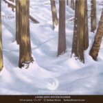 wideopenwinterwander