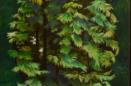 Cedar Intimacy