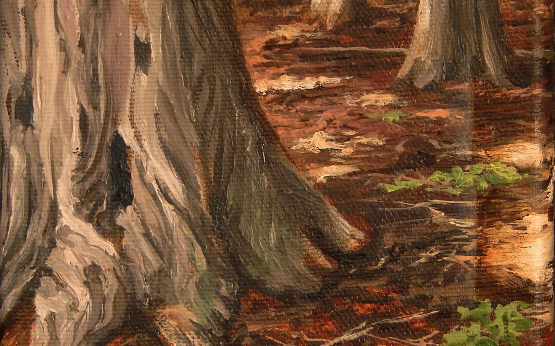 The Lap of Mother Cedar