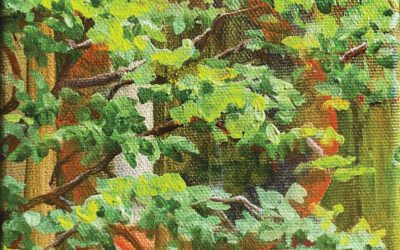 Forest Impressions Summer I