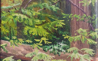 Forest Impressions Summer II