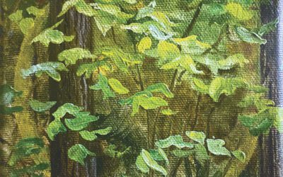 Forest Impressions Summer III