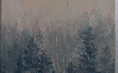 Misty Inland Rain Forest